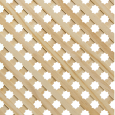 R/06 Estrella De Pino