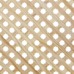 R/06 MH Estrella De Pino