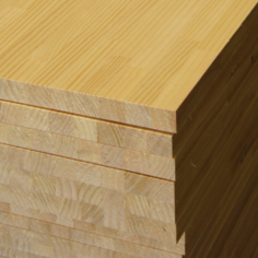 Alistonado Pino Insignis M.Fina