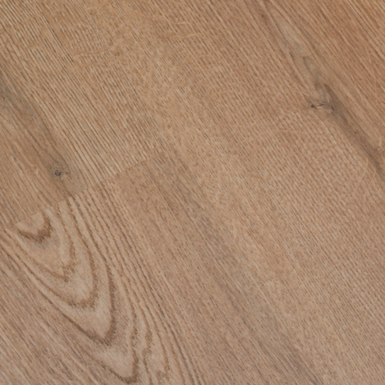 AC6 Finfloor Evolve Roble Fado Sotavento