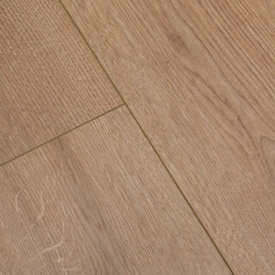 AC6 Finfloor Evolve Roble Fado Sotavento